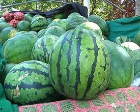 怎么屏蔽吃瓜广告,畅享无干扰网络体验