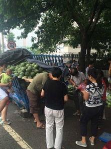 吃瓜光遇开门,揭秘开门背后的神秘故事