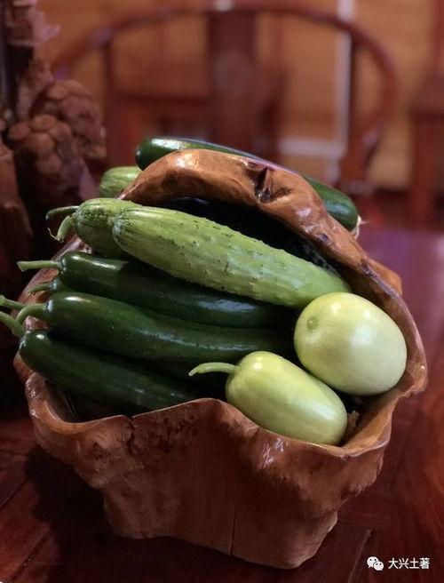 《文安》网红吃瓜