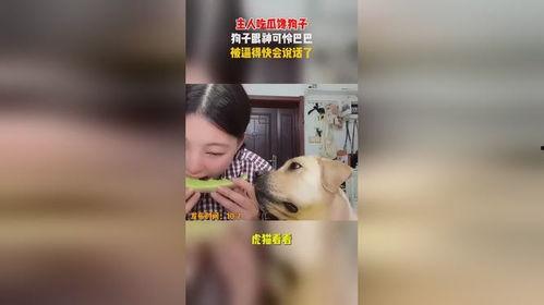 吃瓜眼神不好,眼神不佳，趣味不减