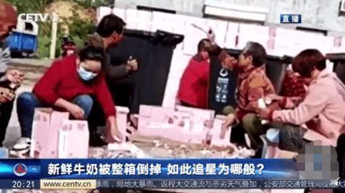 家人集体吃瓜视频播放,家人集体吃瓜视频大放送