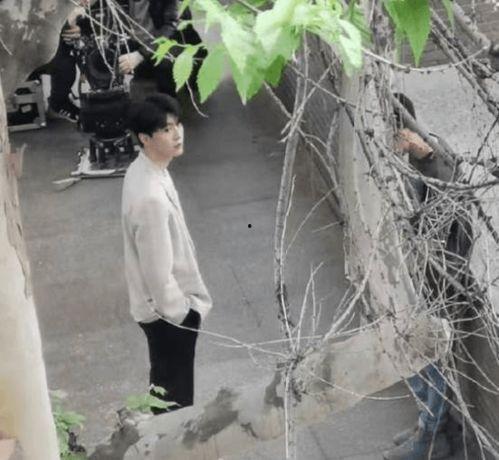 吃瓜追星小路人,吃瓜追星，青春的酸甜苦辣