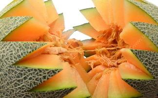 吃哈密瓜嘴巴很苦,揭秘吃哈密瓜嘴巴苦的原因