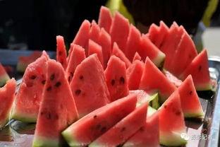 银川市吃瓜,清凉一夏，尽享瓜果盛宴