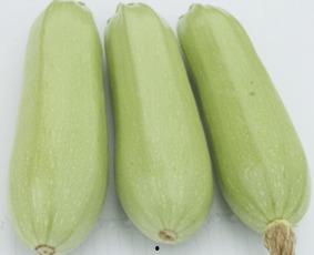 孕妇可用吃白瓜,白瓜助力健康孕育